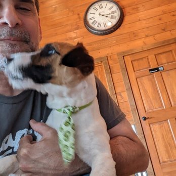 Dog Haven Lodge - Waggs with papa after grooming. - Pet Boarding Near Me - Dandridge, Tennessee