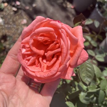 Leaf Landscape Supply - Nurseries & Gardening Near Me - Austin, Texas