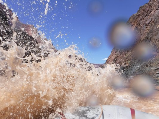 Grand Canyon Expeditions by null
