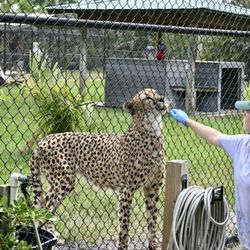 Panther Ridge Conservation Center