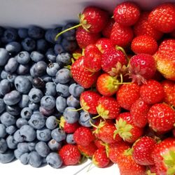 Samascott Orchards - Freshly picked strawberries and blueberries