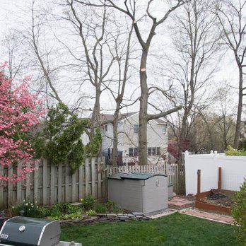 Atlantic Tree Service - Atlantic Tree Service - Nurseries & Gardening Near Me - Holmdel, New Jersey