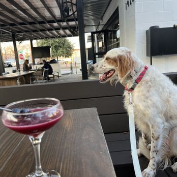 Botanic Beer Garden - My cocktail and my dog - Beer Gardens Near Me - Houston, Texas Botanic Beer Garden - My cocktail and my dog - Beer Gardens Near Me - Houston, Texas