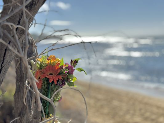 Diamond Head Beach Park by null