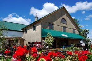 Shady Brook Farm by null