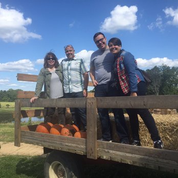 Country Pumpkins - Massive pumpkins you pick and cut from the vine - Pumpkin Patches Near Me - Dry Ridge, Kentucky