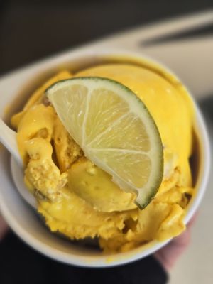 Little Fox Cups + Cones by null