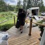 Up North Movers