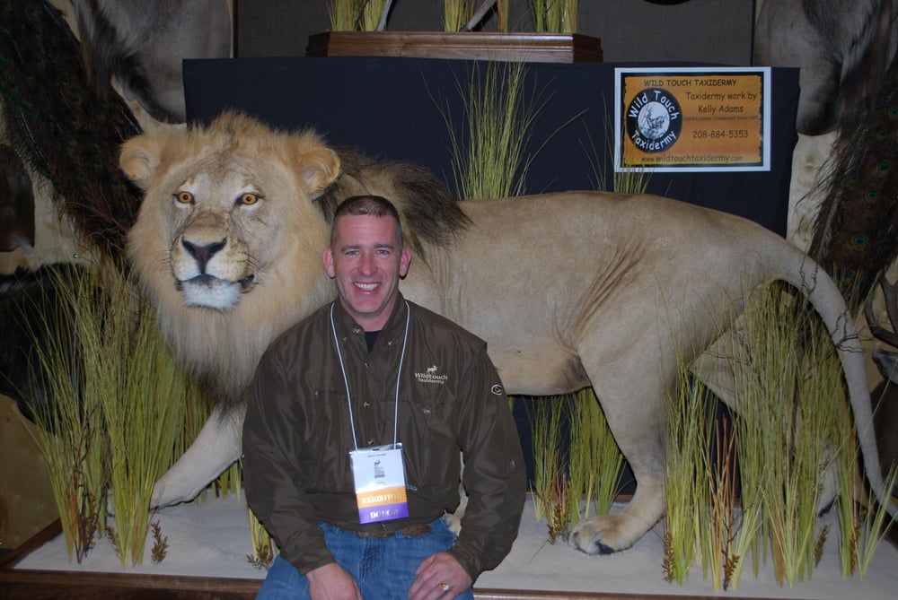 Wild Touch Taxidermy - taxidermy in Meridian, ID