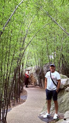 Chinese Garden of Friendship by null