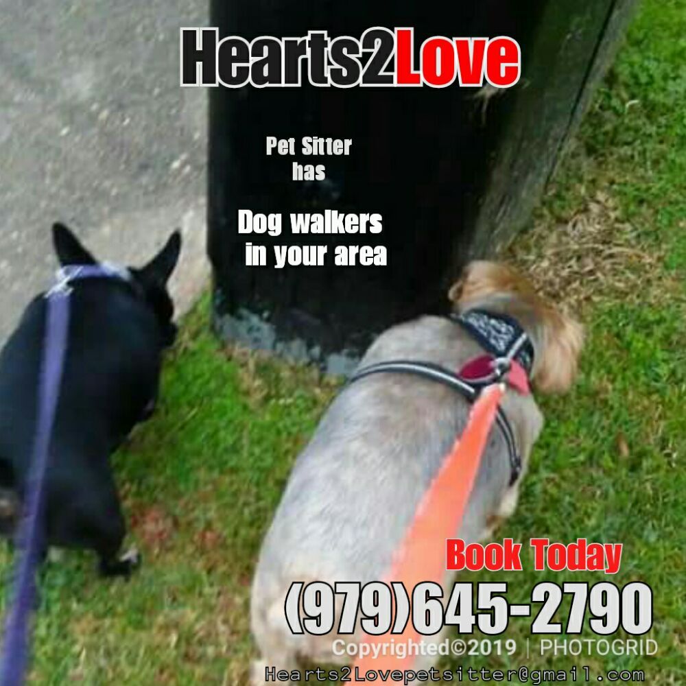 HEARTS2LOVE PET SITTER 47 Photos Pet Boarding 4414 Durant 21, Deer Park, TX Phone Number