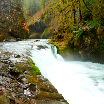 Eagle Creek Trail - Punch Bowl Falls: not so much a fall in November when the water level is high - Hiking Near Me - Bonneville, Oregon
