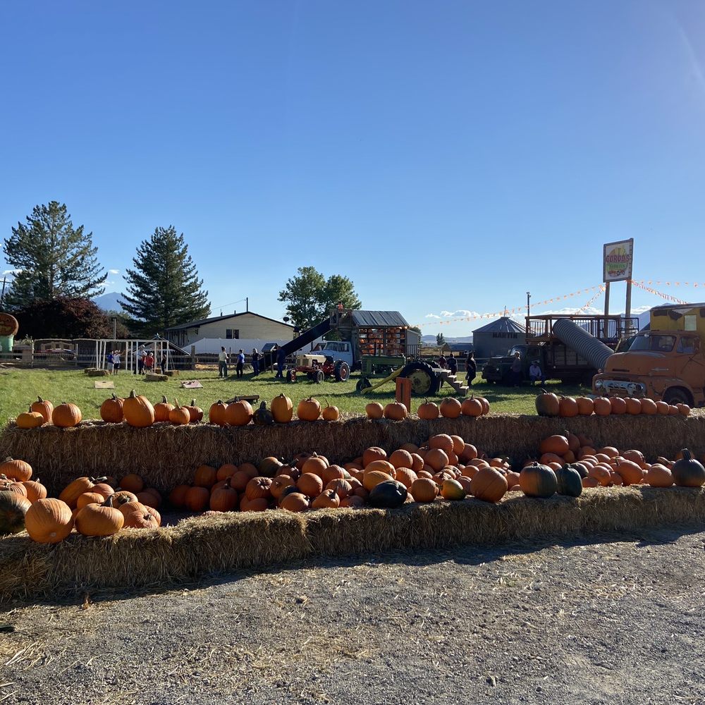 Gordos Fun Farm - Pumpkin Patches Near Me - Spanish Fork, Utah Gordos Fun Farm - Pumpkin Patches Near Me - Spanish Fork, Utah
