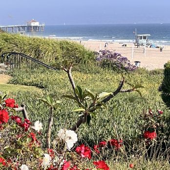 Sol Seek Yoga Studio - Manhattan Beach - Yoga Near Me - Manhattan Beach, California Sol Seek Yoga Studio - Manhattan Beach - Yoga Near Me - Manhattan Beach, California
