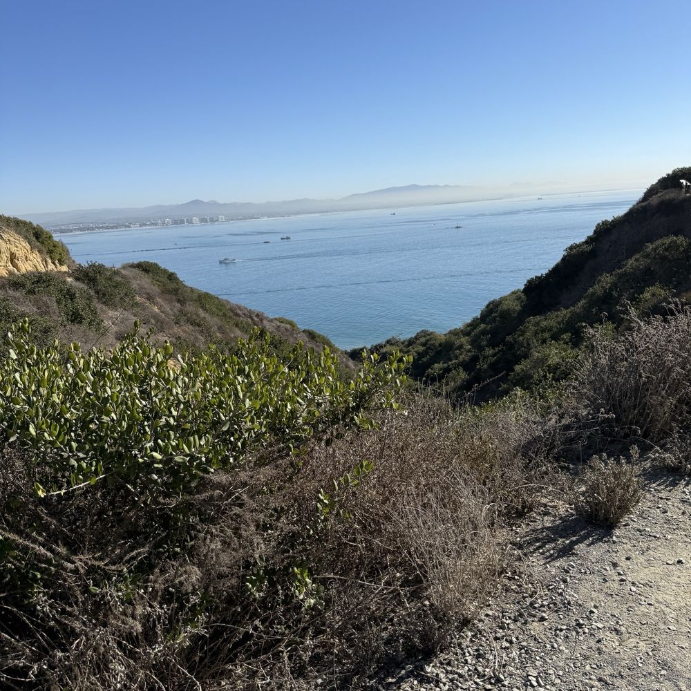 Bayside Trail - Bayside Trail - Hiking Near Me - San Diego, California