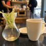Photo of Coffee In the Wood