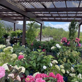 Bristol's Garden Center - Nurseries & Gardening Near Me - Victor, New York