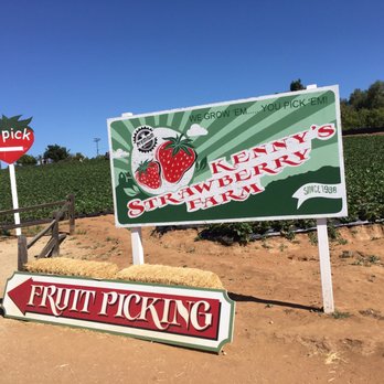 Kenny's Strawberry Farm - Cute vintage signage - Fruits & Veggies Near Me - Fallbrook, California