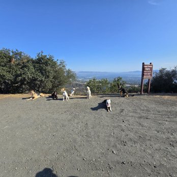 Westridge-Canyonback Wilderness Park - Nature dogs go hiking - Hiking Near Me - Encino, California Westridge-Canyonback Wilderness Park - Nature dogs go hiking - Hiking Near Me - Encino, California