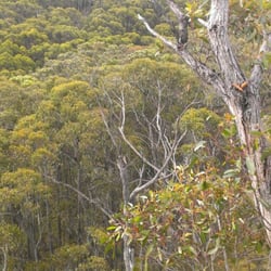 Kenneth Stirling Conservation Park