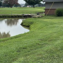 Riverside Golf Links - That's a real alligator... Just kidding