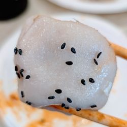 Liu Liu Sheng Jian 六六生煎王 - Shengjian bao close up.
