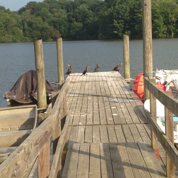 Core Creek Park - Pelicans on the dock - Venues & Event Spaces Near Me - Langhorne, Pennsylvania