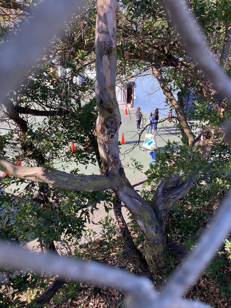 SUNSET ELEMENTARY SCHOOL Updated September 2024 10 Photos 1920