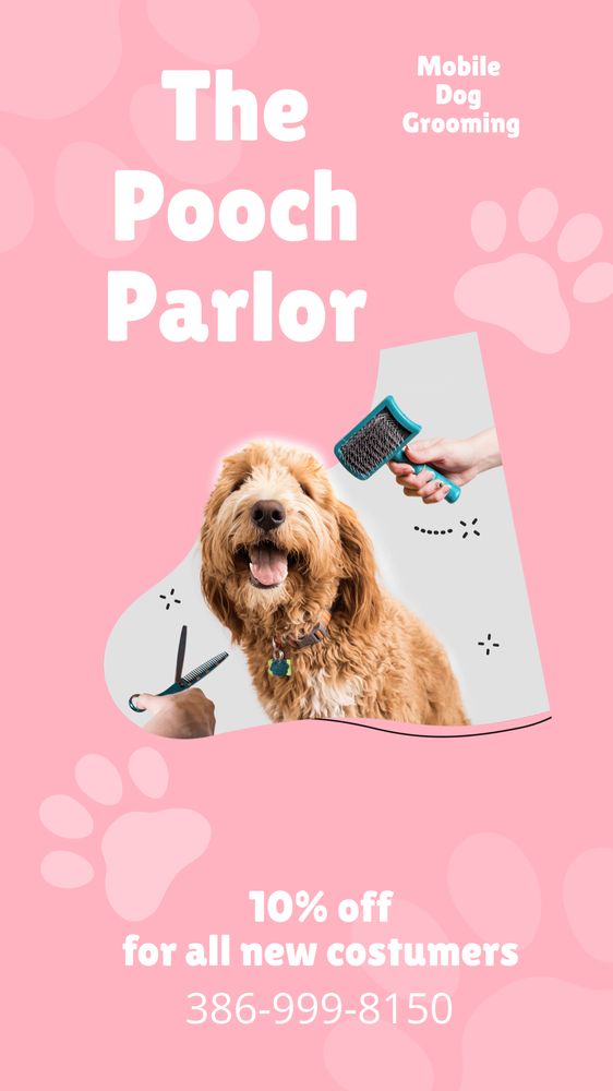 THE POOCH PARLOR Daytona Beach Shores, FL Yelp