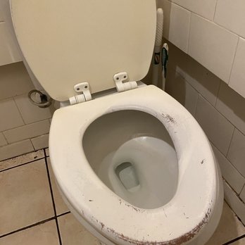 Sparky's Place Restaurant - Ladies rest room needs help.. - Breakfast & Brunch Near Me - Astor, Florida