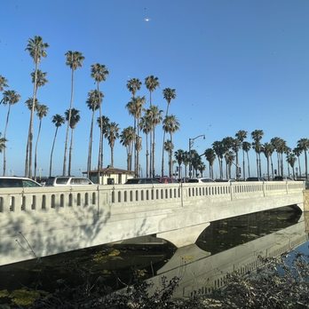 Bluewater Grill - Window view - Seafood Near Me - Santa Barbara, California