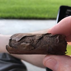 Absolute Tobacco - Wiseman I bought 2 hours ago. Disappointed as it's my go to store and quality smoke shouldn't do this