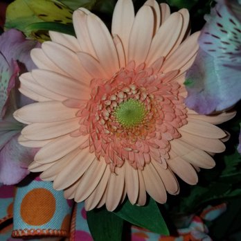 Sisterchicks Flowers & More - Florists Near Me - Union, Missouri Sisterchicks Flowers & More - Florists Near Me - Union, Missouri