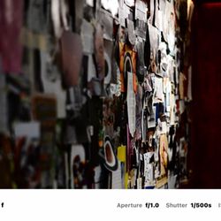 Rapport Coffee & Roasters