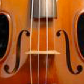 Princeton String Quartet & Musicians - Musicians Near Me - Princeton, New Jersey