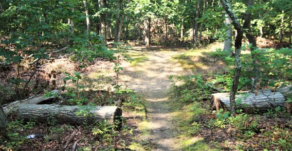 Bethpage State Park by null