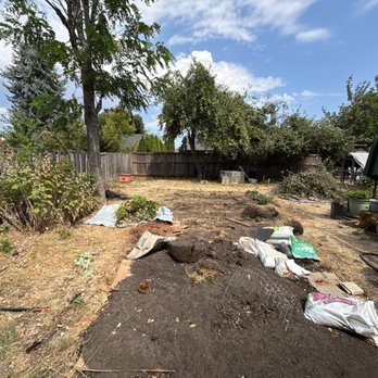 A-1 Ron's Stump & Tree Removal - This is the before photo of the locust tree. - Tree Services Near Me - Springfield, Oregon A-1 Ron's Stump & Tree Removal - This is the before photo of the locust tree. - Tree Services Near Me - Springfield, Oregon