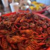 Tortugo Brewing gift card