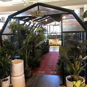 Citizen Supply - Greenhouse for plants. - Women's Clothing Near Me - Atlanta, Georgia