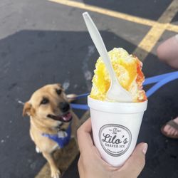 Lilo's Shaved Ice - Nice shade--felt great sitting out in the 80 degree weather