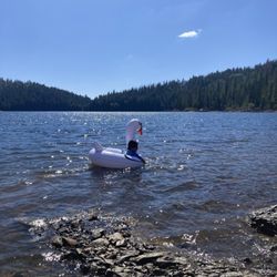 Shirttail Creek