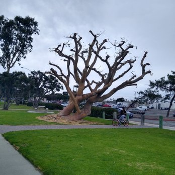 Chula Vista Marina View Park - Parks Near Me - Chula Vista, California