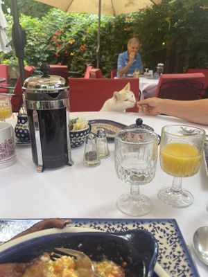 Capitol Hill Mansion Bed & Breakfast Inn by null