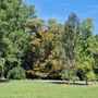 Park an der Ilm