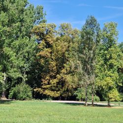 Park an der Ilm