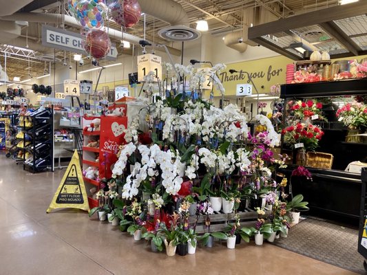 Ralphs by null