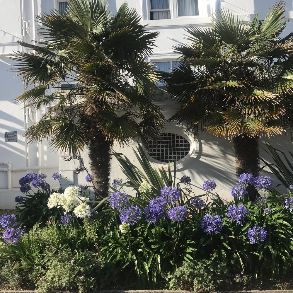 The Palace - Hotels Near Me - Paignton, TOB