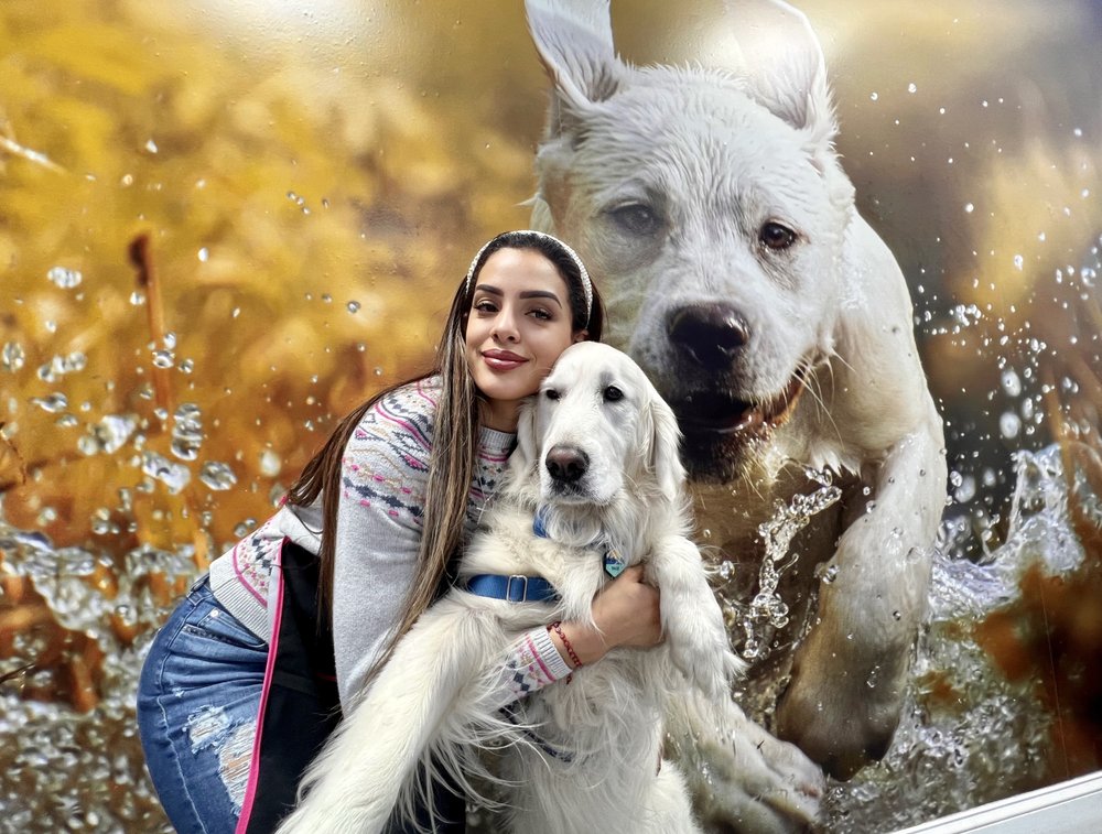 DOG GROOMER CANDY Request an Appointment 20 Photos Miami, Florida