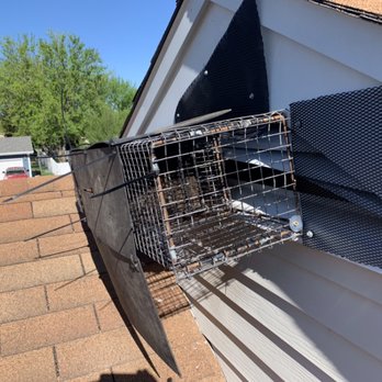 Wildlife & Waterfowl Solutions - Pest Control Near Me - McHenry, Illinois Wildlife & Waterfowl Solutions - Pest Control Near Me - McHenry, Illinois