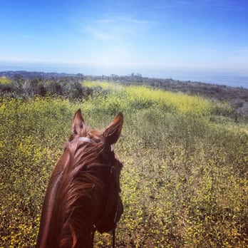 Connemara Ranch - Horseback Riding Near Me - Malibu, California